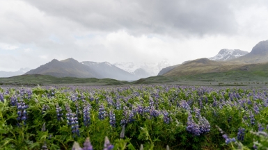 Фото: Ricky Kharawala, unsplash.com