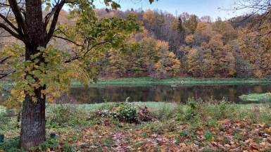 Фото гида Александра Чудновского