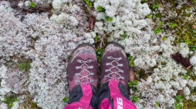 Фото нашей Странницы Эльвиры Шилиной