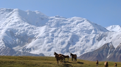 Из архива Клуба