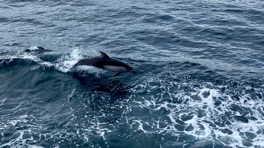 Фото из архива Клуба