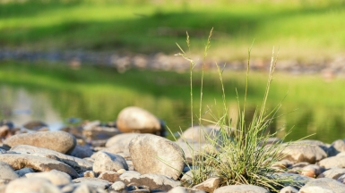 Фото: Albert Kuular on unsplash