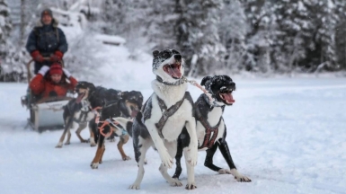 Фото Елены Мачтиной