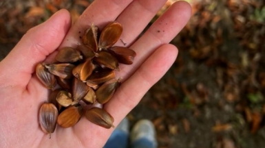 Фото нашей Странницы Лилии Сааковой
