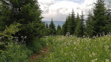 Фото нашего гида Дмитрия Могиленских