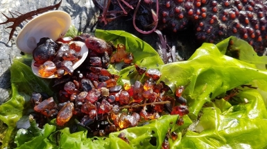 Фото из архива Клуба