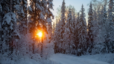 Фото нашего гида Михаила Верёвченко