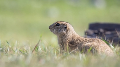 Фото нашего гида Михаила Верёвченко