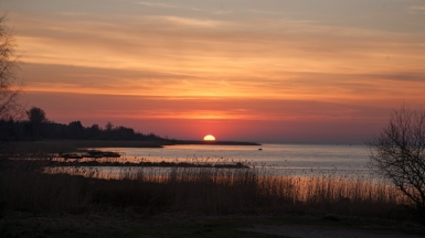 Фото: Timur Repin, unsplash