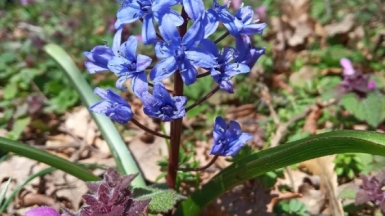 Фото нашего гида Галины Шелудько