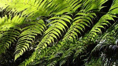 Фото: Brian Giesen. Источник: visualhunt.com