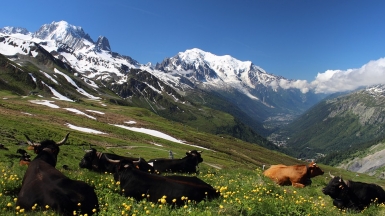 Автор: AldoGallo. Источник: pixabay.com