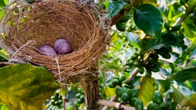 Фото: Kelvin Nduati, unsplash.com