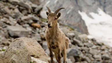 Фото нашего гида Геннадия Скосырева