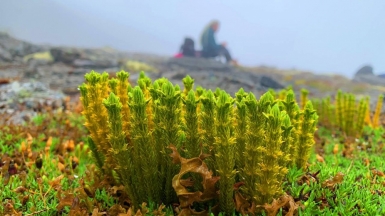 Фото наших Странников