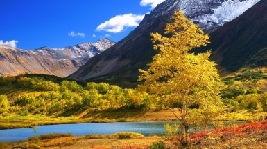 Фото: depositphotos.com