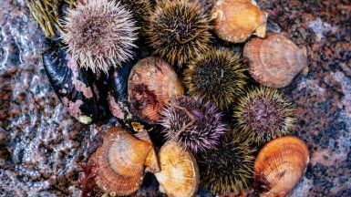 Фото из архива Клуба