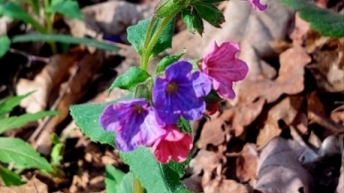 Фото нашего гида Александра Чудновского