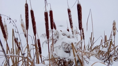 Фото гида Александра Чудновского