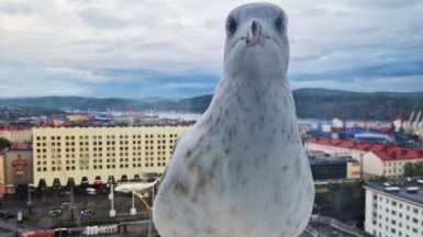 Фото нашей Странницы Анастасии Ивановой