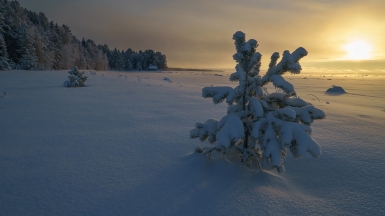 Фото из архивов Клуба