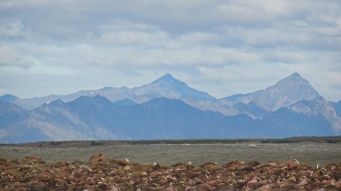 Фото: Martin Ehrensvärd on visualhunt