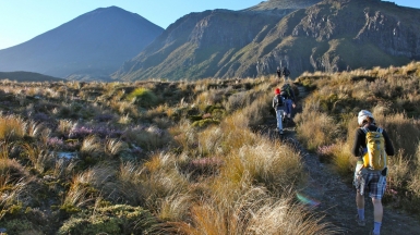 Фото: eliduke, visualhunt.com