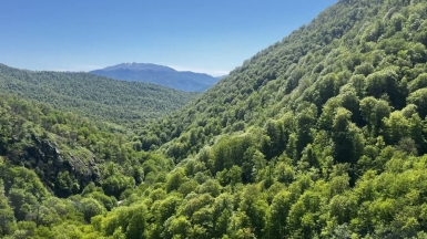 Фото нашего гида Марии Тергоевой