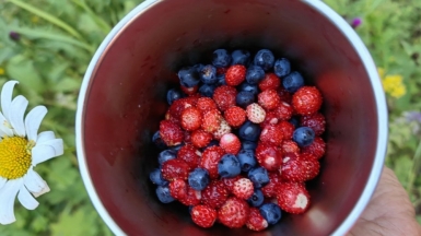 Фото нашего Странника Сергея Сидорова