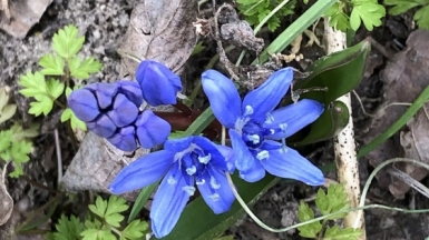 Фото нашей Странницы Натальи Белкиной