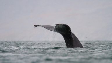 Фото из архива Клуба