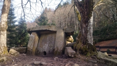 Фото нашей Странницы Анны Шереметьевой