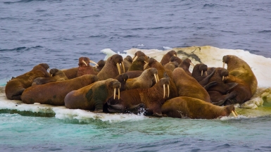 Фото из архива Клуба