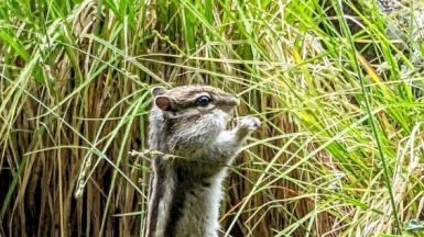 Фото наших Странников