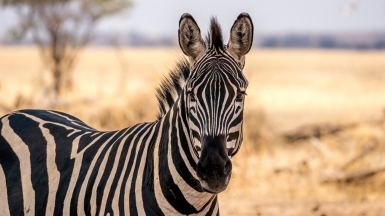 Фото: A_Peach, visualhunt.com