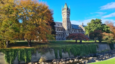 Фото наших партнеров JustGo ThereNZ