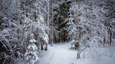 Фото нашего гида Михаила Верёвченко