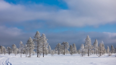Фото нашего гида Михаила Верёвченко