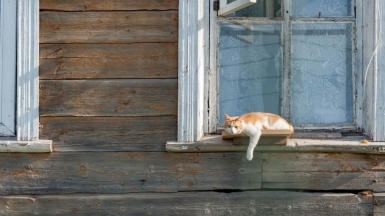 Фото из архива Клуба