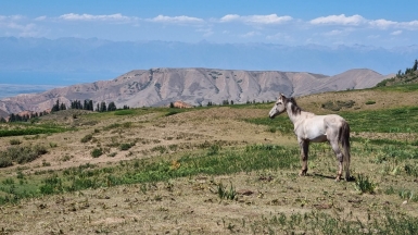 Фото наших Странников