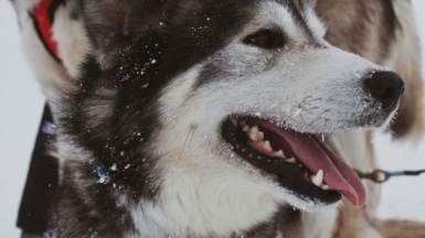 Фото: zeke tucker unsplash