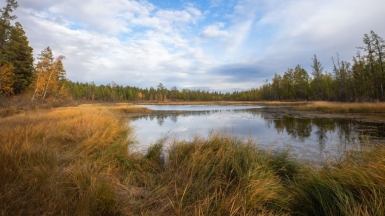 Фото нашего гида Михаила Верёвченко