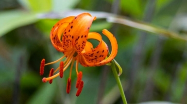 Фото из архива Клуба