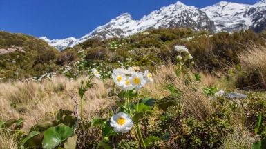 Гора Кука, фото нашей странницы Татьяны Руновой