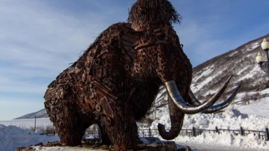 Фото: Михаил Местников