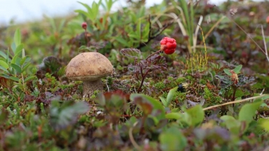 Фото из архива Клуба