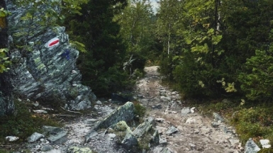 Фото гида Марины Акиловой-Елиной