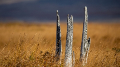 Фото из архива Клуба