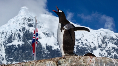 Автор: Rob Oo, источник: visualhunt