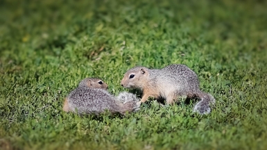 Фото нашей Странницы Светланы Юшмановой